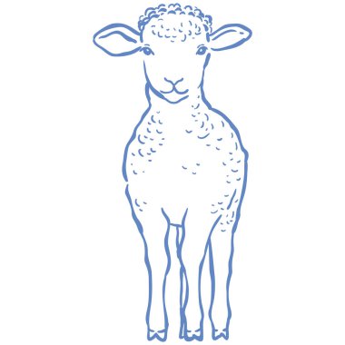 Çizgi Sanat Sevimli Kuzu. Vektör İllüstrasyonu.