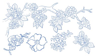 Art Blue Çiçekleri ve Bitkileri Serisi. Vektör İllüstrasyonu.