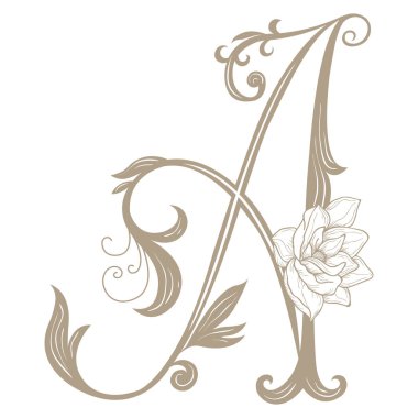 Vintage Harf ve Monogram A 'nın Vektör İllüstrasyonu.