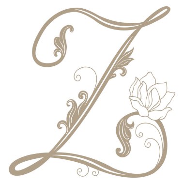 Vintage Harf ve Monogram Z 'nin Vektör İllüstrasyonu.