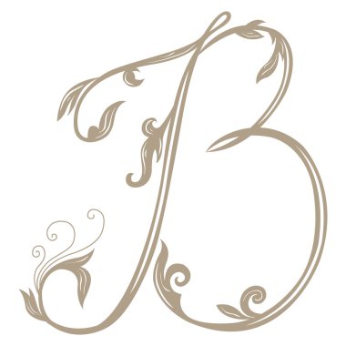 Vintage Letter ve Monogram B 'nin Vektör İllüstrasyonu.
