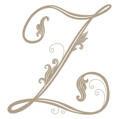 Vintage Harf ve Monogram Z 'nin Vektör İllüstrasyonu.
