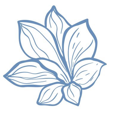 Beyaz Arkaplanda Mavi Dekoratif Çiçeğin Vektör ResmiComment.