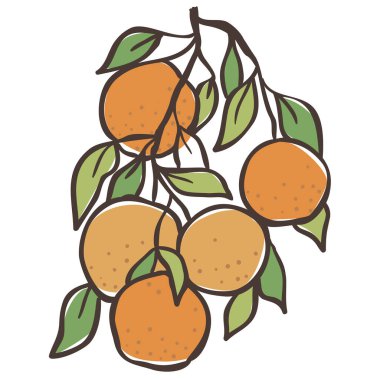 Orange Branch 'ın İllüstrasyonu. Beyaz Arkaplanda Vektör Grafiği