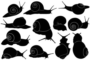 Collage of different snail silhouettes isolated on white