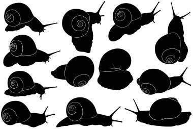 Beyaz üzerine izole edilmiş farklı salyangoz siluetleri koleksiyonu