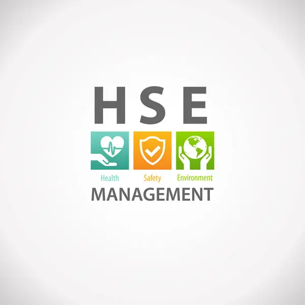 Hse Health Safety Environment Management Design Infografika Dla Biznesu Organizacji — Wektor stockowy