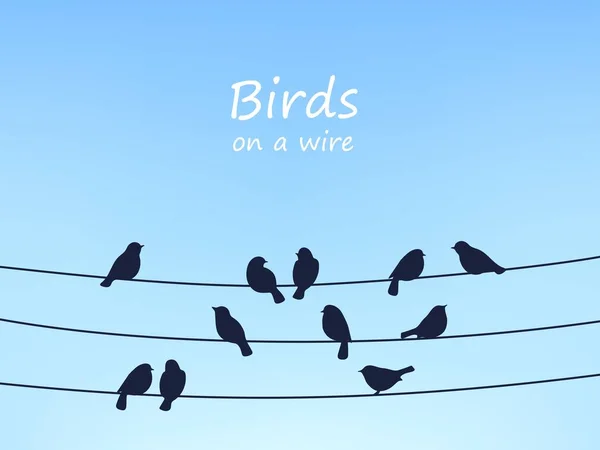 Sparrow Birds Flock Power Line Wires Vector Design Black Birds — Stock Vector