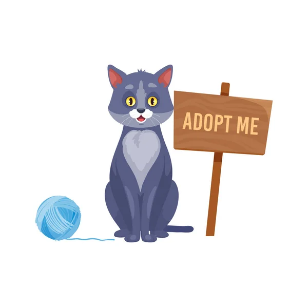 Vtipná Kočka Adopcí Cedulí Prohledáváním Rodiny Izolovaný Kreslený Vektor Kočičí — Stockový vektor