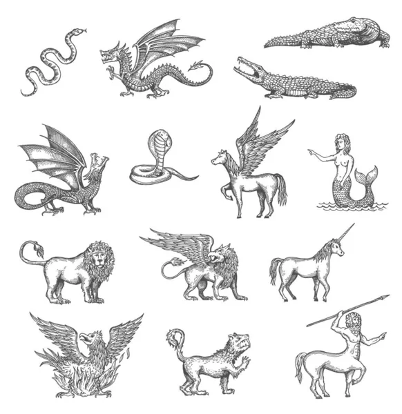 独角兽 龙和飞马座 迷你裙或狮子美人鱼动物病媒草图 狮鹫和狼人 狮鹫和半人马的素描 神奇的神话动物生物 — 图库矢量图片