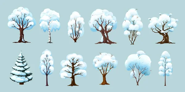 Карикатурные Зимние Деревья Изолированные Векторные Растения Снегом Ветвях Зимний Сезон — стоковый вектор
