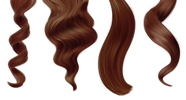 秀丽的棕色女性发丝 直的和马尾辫式的 矢量式的发型和护发美感 用于染发剂样品或洗发水包的现实女性股和长卷曲拉伸 — 图库矢量图片