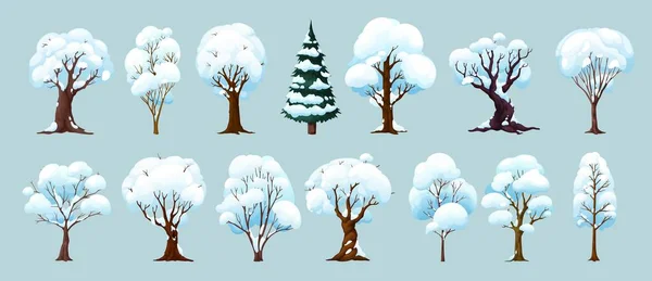 Cartoon Winterbomen Geïsoleerde Vector Wintertijd Bos Tuin Planten Met Sneeuw — Stockvector
