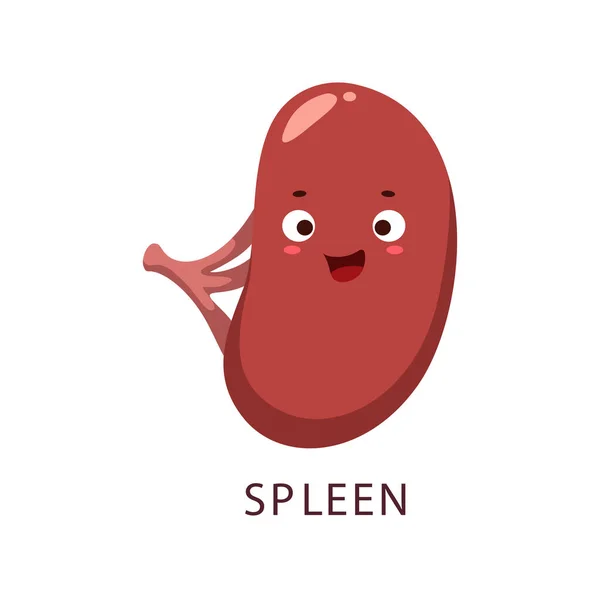 Cartoon Spleen Human Bogy Organ Character Immune System Cheerful Human — Stock Vector