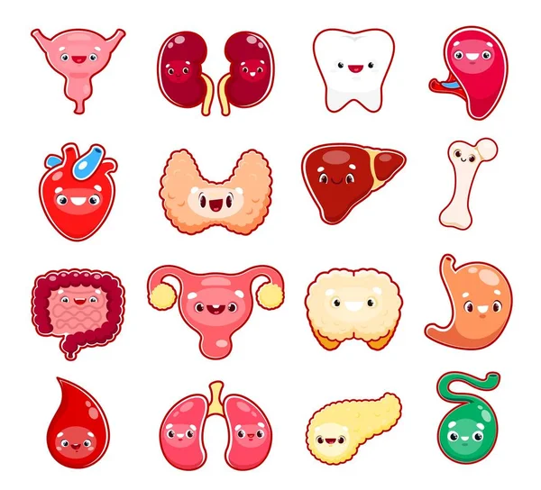 Personajes Órganos Del Cuerpo Humano Dibujos Animados Vector Divertido Anatomía — Vector de stock