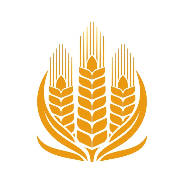 谷物小麦 黑麦和大麦图标 农业简约符号或谷物农场徽章 烘焙向量符号或带有作物种子的象形文字 小麦穗图标 — 图库矢量图片