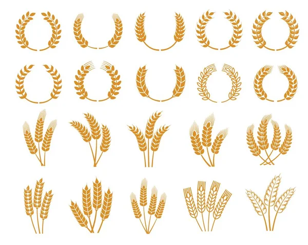 穀物小麦の耳とスパイク 月桂樹の花輪 小麦の耳の農業のシンボル 穀物やオート麦種子分離ピクトグラム 競争の勝利と勝者の栄光 ベクトルエンブレムまたはアイコン — ストックベクタ
