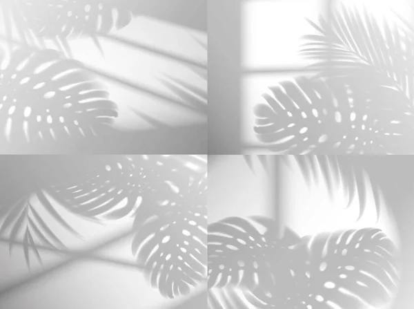 Fensterschattenlicht Mit Monsterblättern Vektorüberlagerungseffekt Mit Tropischen Pflanzenzweigen Der Wand Realistische — Stockvektor