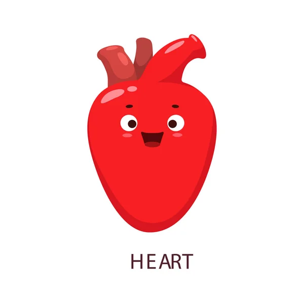 漫画の赤い心臓人間の体の臓器の文字 心臓解剖学と心臓医学のベクトルパーソナージュ 健康な冠動脈とかわいい心 血大動脈と静脈 面白い顔と幸せな笑顔 — ストックベクタ