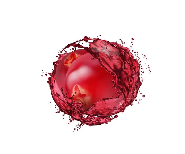 Cranberry Fruit Juice Splash Realistic Vector Mooseberry Drink Cocktail Compote — Stock Vector