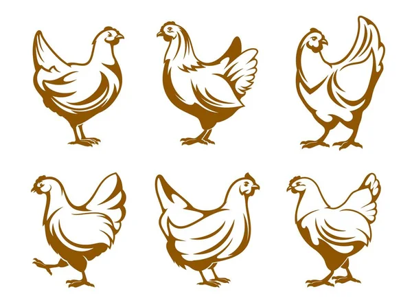 Hen Icons Chicken Farm Poultry Meat Vector Symbols Farmhouse Bird — Stock Vector