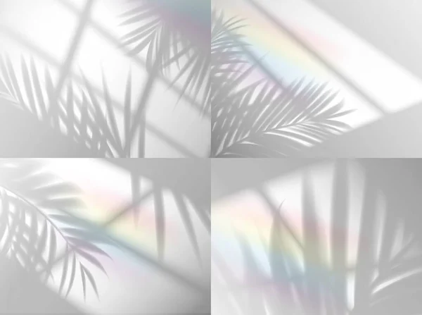 棕榈叶阴影与背景的彩虹覆盖 载体窗口和植物分枝轮廓 夏季棕榈叶阴影覆盖着阳光透过窗户 现实的彩虹光效果 — 图库矢量图片