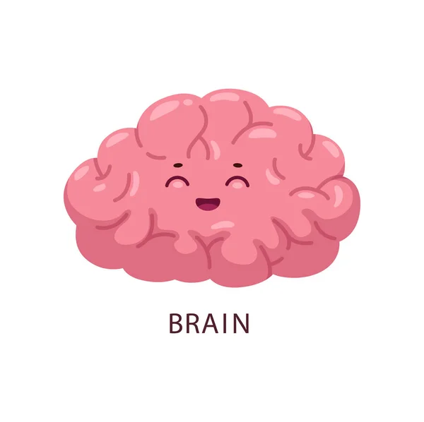 Мультипликационный Мозг Человеческий Орган Векторный Персонаж Системной Анатомией Симпатичный Умный — стоковый вектор