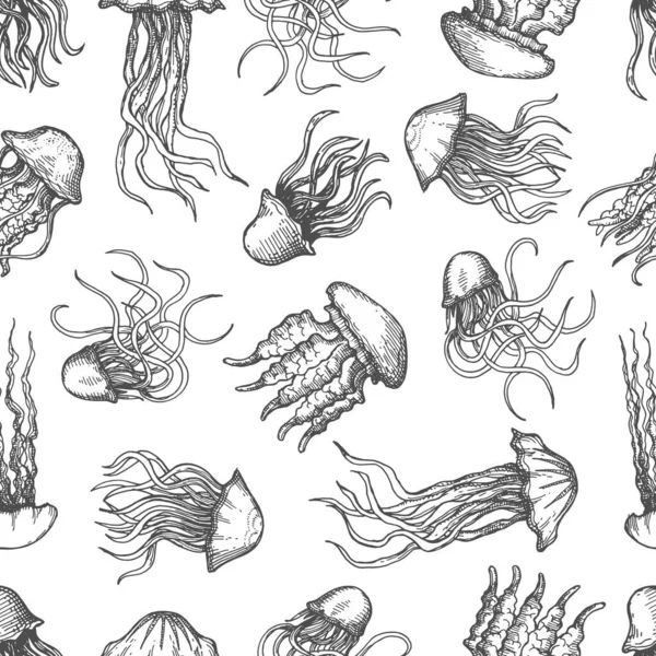Jellyfish Vintage Esboço Sem Costura Padrão Fundo Vetor Peixe Geleia — Vetor de Stock