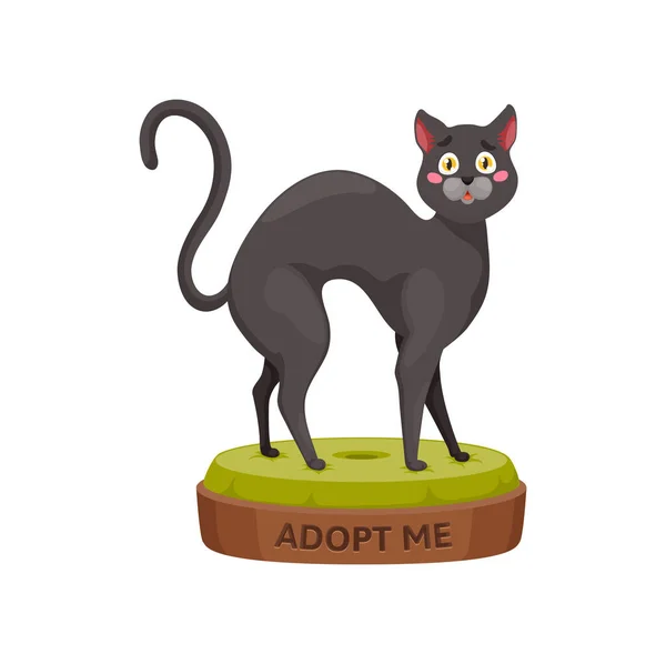 Adopteer Een Kat Droevig Kat Stand Het Beddengoed Met Spandoek — Stockvector