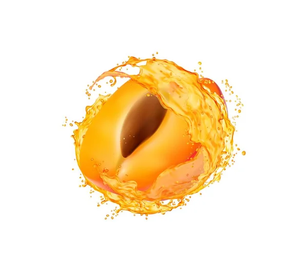 Fruit Abricot Avec Éclaboussure Jus Vecteur Isolé Moitié Fruits Mûrs — Image vectorielle