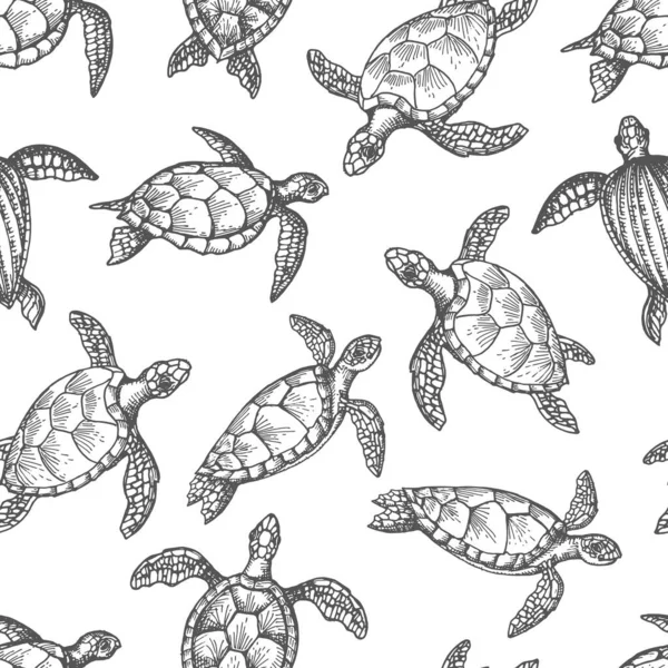 海龟爬行动物描绘了海洋动物和陆地爬行动物的无缝模式 带有壳 鳍鱼和头的海龟 鳟鱼和龟的矢量背景 手工绘制的背景设计 — 图库矢量图片