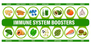 Immune system boosters infographics chart. Healthy food and nutrition infographics, human immunity vector scheme. Diet chart with ginger, sweet potato and broccoli, salmon, blueberry and papaya, seeds clipart