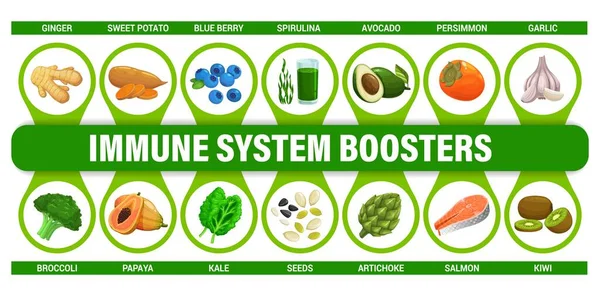 Tabella Infografica Dei Booster Del Sistema Immunitario Infografica Nutrizionale Alimentare — Vettoriale Stock