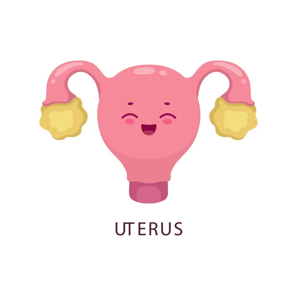 漫画子宮人間の生物学の臓器の文字 女性の生殖器系の一部 人体解剖学と生物学 内臓かわいいベクトル文字 孤立子宮陽気な性格やアイコン — ストックベクタ