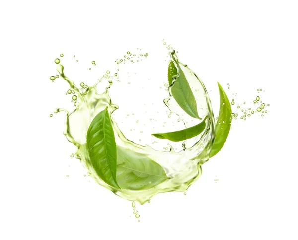 Salpicos Onda Chá Ervas Verdes Com Folhas Fluxo Bebida Realista — Vetor de Stock