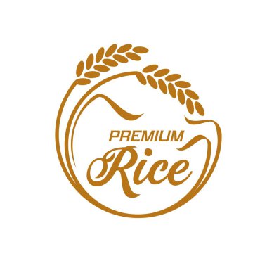 Pirinç ikonu, yuvarlak mısır gevreği sapları ve premium pirinç tipografisi içeren vektör amblemi. Paddy, organik ürün etiketini yükseltti, tarımsal alan üretim reklamcılığı, paket için izole eleman