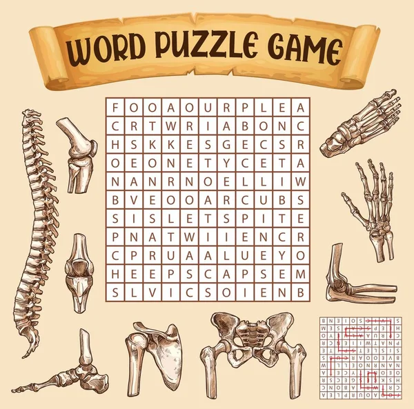 Huesos Humanos Búsqueda Palabras Juego Puzzle Hoja Trabajo Concurso Adivinanzas — Archivo Imágenes Vectoriales