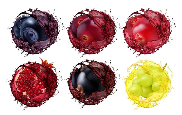 Juice Splash Blueberry Cranberry Lingonberry Pomegranate Currant Grape Realistic Vector — Archivo Imágenes Vectoriales