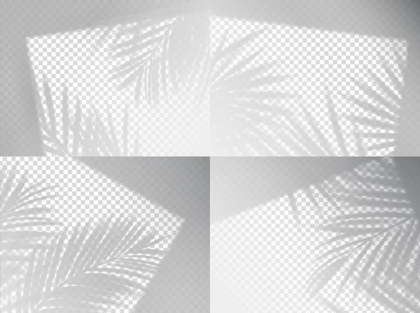 透明的棕榈叶阴影背景覆盖 热带树夏季遮荫现实的背景或病媒壁纸 窗框中的叶面反射 棕榈叶阳光灰色阴影背景 — 图库矢量图片