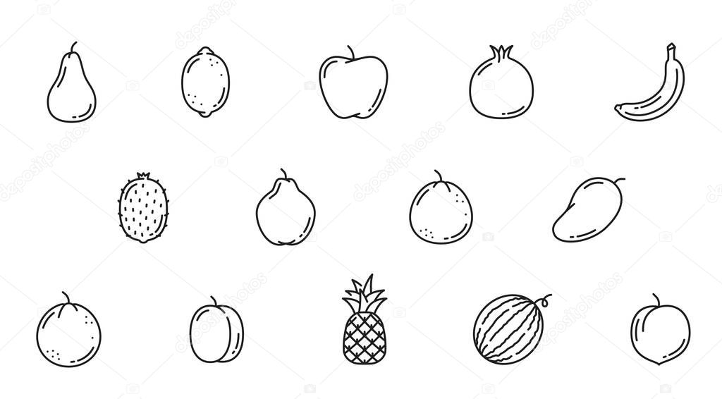 Farm garden raw fruit line icons. Pear, lemon, apple, pomegranate and banana, kiwi, quince, mango and orange, plum, pineapple, watermelon and sapodilla fruits outline vector, minimal pictograms set