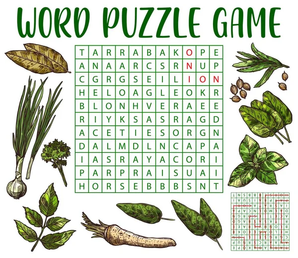 Herbs Spices Seasonings Sketch Word Search Puzzle Game Worksheet Vector — Stockvector