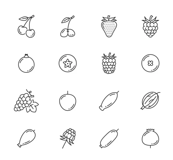 Stock vector Raw berry line icons. Farm garden and wild cherry, strawberry and blueberry, raspberry, honeyberry and rosehip, currant and cloudberry, grape, gooseberry and blackberry outline vector pictogram icons