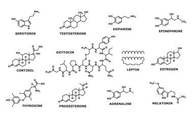 Hormone formula. Medicine, chemistry and biochemistry science research line symbols, human man and woman hormones formulas. Oxytocin and leptin, thyroxine, progesterone and adrenaline atom structure