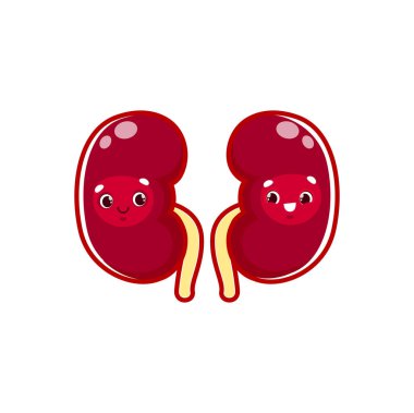 Cartoon kidneys human body organ character. Vector anatomical personage with cute smiling face. Reins internal healthy organs couple. Health care, medicine for kids