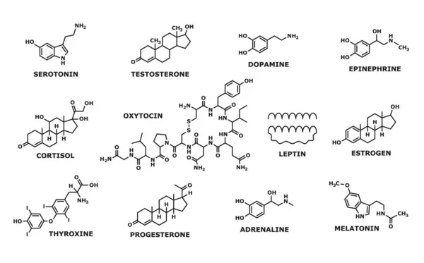 stock vector Hormone formula. Medicine, chemistry and biochemistry science research line symbols, human man and woman hormones formulas. Oxytocin and leptin, thyroxine, progesterone and adrenaline atom structure