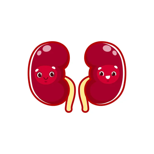 Cartoon Kidneys Human Body Organ Character Vector Anatomical Personage Cute — 图库矢量图片