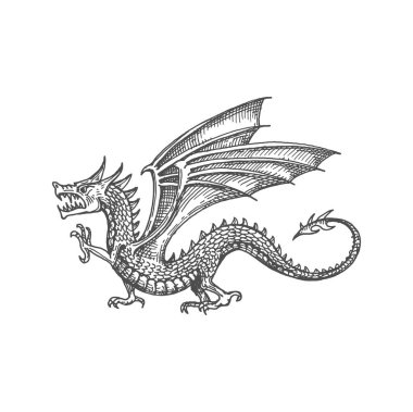 Dragon with wings and sharp tail, chinese magic animal sketch icon. Vector oriental culture legendary creature, dragon mythological monster