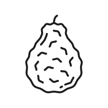 Bergamot citrus fruit berry isolated raw food line icon. Vector kaffir summer rough lemon fruit, tropical exotic food. Juicy dessert, cosmetics ingredient