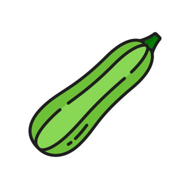 Green zucchini vegetable whole fruit isolated color line icon. Vector vegetarian food, healthy organic dieting squash. Courgette raw vegetable