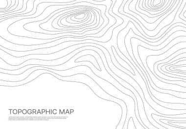 Topographic map, grid, texture, relief contour. Ocean or sea surface monochrome curve lines. Abstract vector background with geographic topology structure. Topo territory cartography with wavy stripes